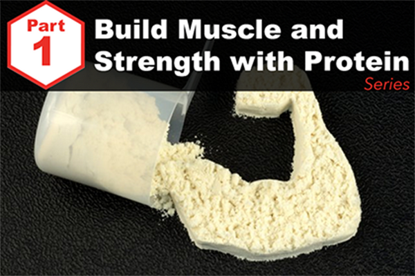Answered: Your Most Burning Questions About Building Muscle/Strength With Protein <br>[Part 1: How Much Is Optimal?]</br>