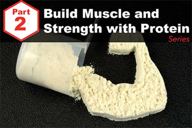 Answered: Your Most Burning Questions about Building Muscle/Strength With Protein <br>[Part 2: What To Use]</br>