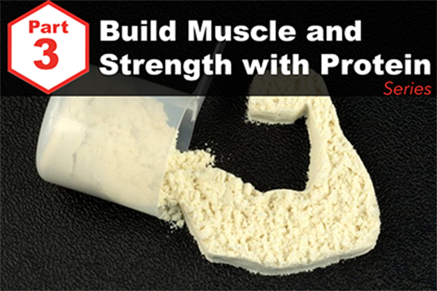 Answered: Your Most Burning Questions about Building Muscle/Strength With Protein. <br>[Part 3: The Perfect Protein Blend]</br>
